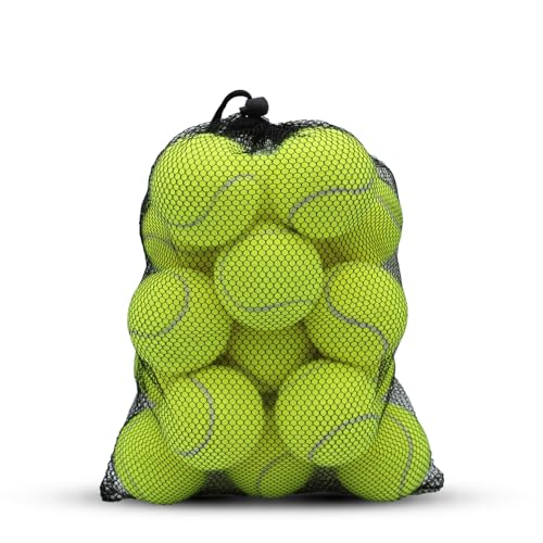 Yellow Tennis Balls 20 Pack Practice & Dog Balls with Mesh Bag