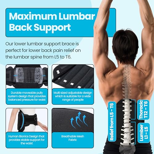 Adjustable Lumbar Back Support Belt for Men & Women - Herniated Disc Relief & Post-Surgery Brace