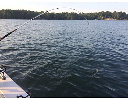 Ugly Stik 7’ Catfish Spinning Combo - Durable Ugly Tech Construction & Clear Tip