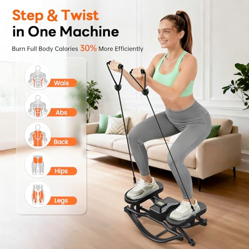 HXD-ERGO Rock Stepper with Resistance Bands, Low-Impact Home Fitness