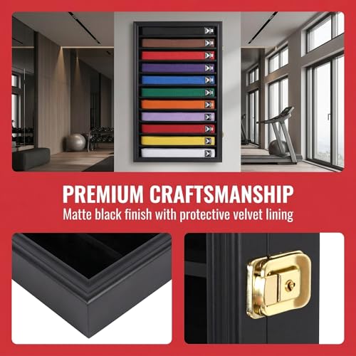 Martial Arts Belt Display Case Wall Rack with Lockable Acrylic Door - 11 Rows, Black Finish