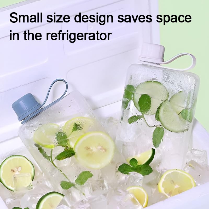 8.2 oz Flat Water Bottle Travel Flask - BPA Free, Leakproof, Grey