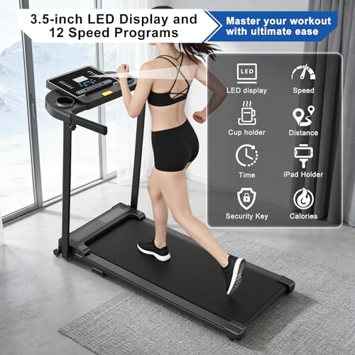 Foldable Home Treadmill with Handle Bar - Compact Quiet Running Machine - Dark Black