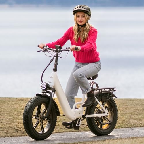 YunSCM 2-Pack 20x4.0 Fat Bike Tires for Electric & Mountain Bikes