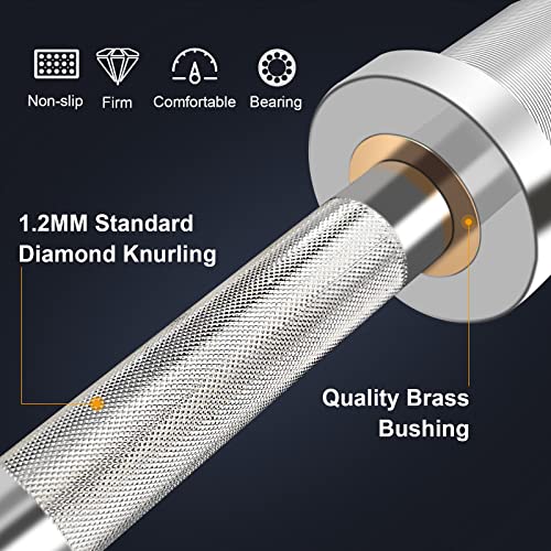 20-Inch Commercial Grade Olympic Dumbbell Handle - Loadable Bar for 2" Plates