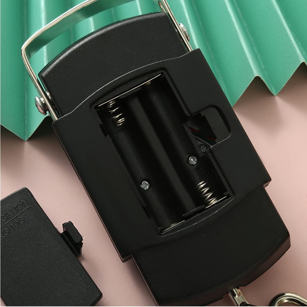 Skiennix Luggage Scale - Accurate Automatic Reading | Multifunctional Travel & Fishing Tool