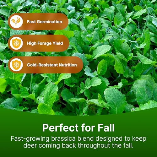 Hit List Seed Brassica Food Plot Seeds for Deer - 1 Acre (6 lbs) Annual Mix