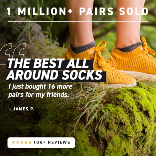 HOLLOW No Show Alpaca Socks 4 Pairs Large Black Moisture Wicking Unisex