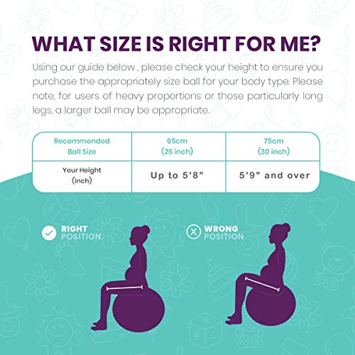 The Birth Ball - Birthing Ball for Pregnancy & Labor - 18 Page Pregnancy Ball Exercises Guide by Trimester - Non Slip Socks - How to Dilate, Induce, & Reposition Baby for Mom 65cm