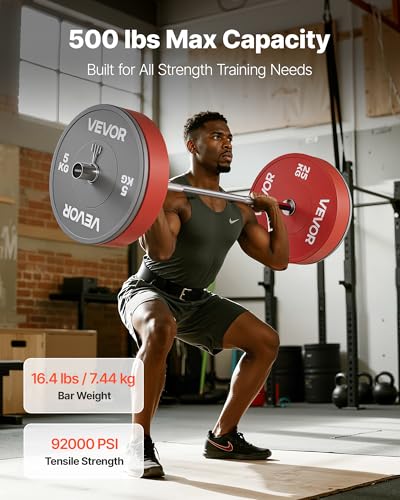 VEVOR 4FT Chrome Barbell Barbell Bar 2-Inch Plates 500lbs Capacity for Strength Training