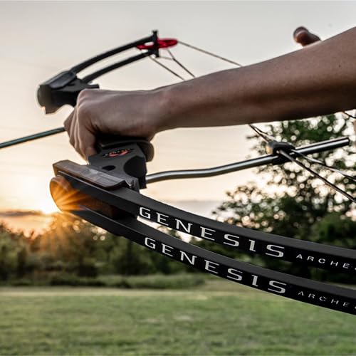 Genesis Archery Lightweight Compound Bow for Right Hand Black, 15-30" Draw