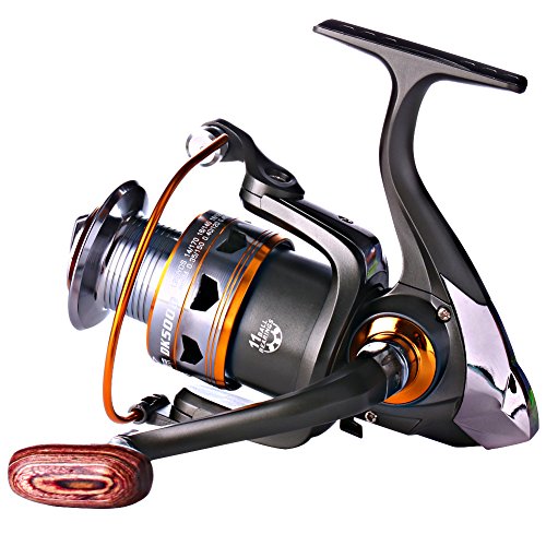 Sougayilang DK1000 Spinning Fishing Reel with Left/Right Interchangeable Collapsible Wood Handle, 11BB, 5.2:1 Gear, For Inshore, Freshwater & Saltwater