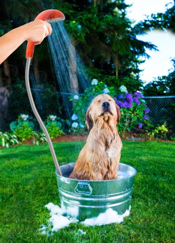 Ivation Portable Battery-Powered Outdoor Shower with Water Pump & Suction Cup