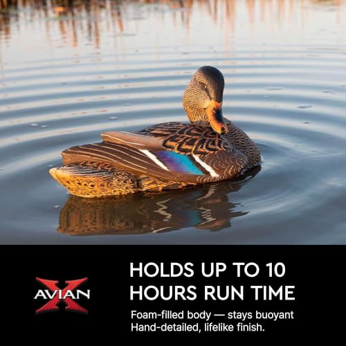 Avian-X Power Shaker Motion Decoy - Mallard Hen Preener for Waterfowl Hunting