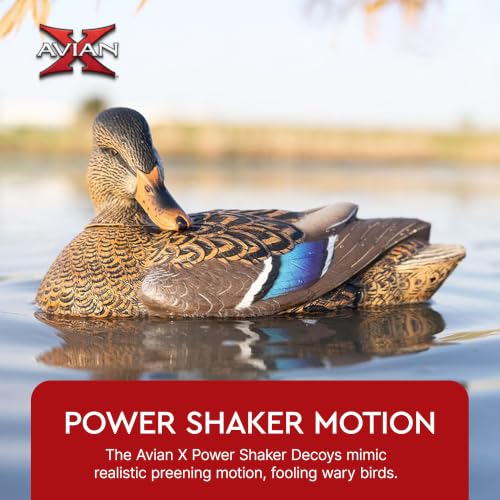 Avian-X Power Shaker Motion Decoy - Mallard Hen Preener for Waterfowl Hunting