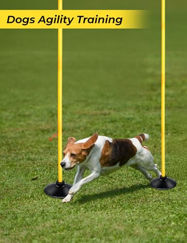 SEAOTTER 10 Pack 6ft Yellow Soccer Agility Poles Set for Football & Rugby Training