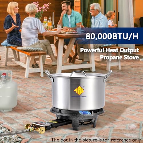 ARC 13-Inch Cast Iron Propane Burner Without Stand - 80,000 BTU Gas Stove