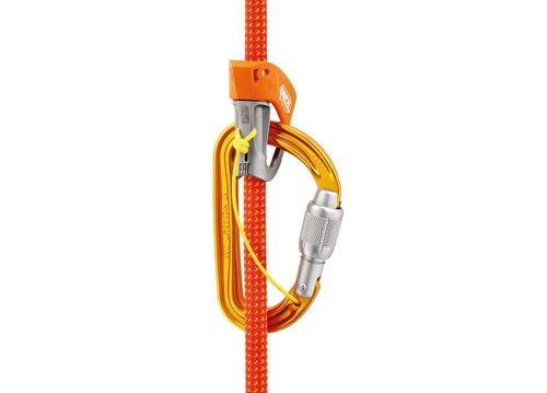 Petzl Sm'D Carabiner - TRIACT-Lock, Yellow