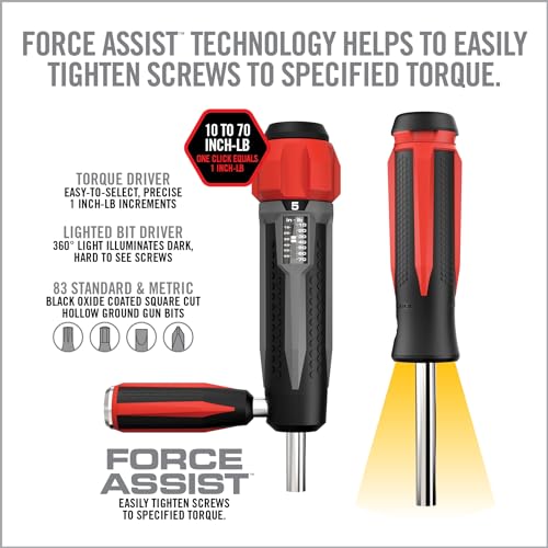 Gun Maintenance Tool Kit with Torque Wrench & Bits - Precision Screwdriver Set, LED Light, Magnetic Bit Driver - Variation of Torque Wrench, Driver, Bit Set