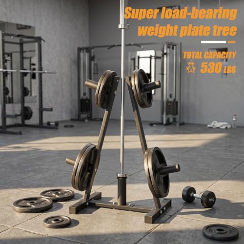Heavy Duty Olympic Weight Plate Rack for Home Gym Storage