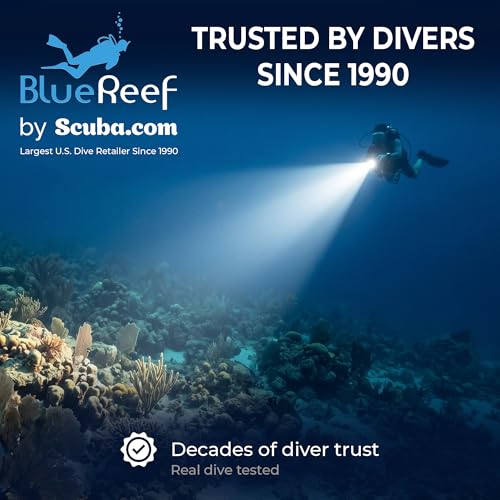 Blue Reef 1200 Lumens Compact Dive Light - USB-C Rechargeable, Waterproof 100m, 5Hr Runtime