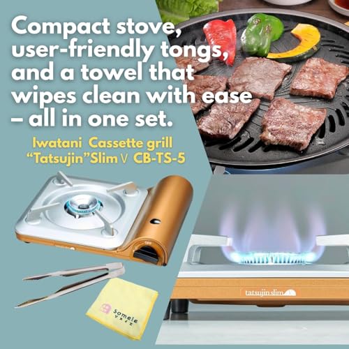 Iwatani Portable Butane Stove