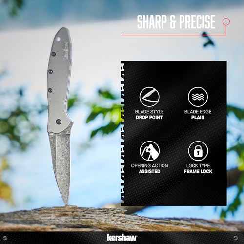 Kershaw Leek Silver Pocket Knife 3-Inch Drop Point Blade, Assisted Open