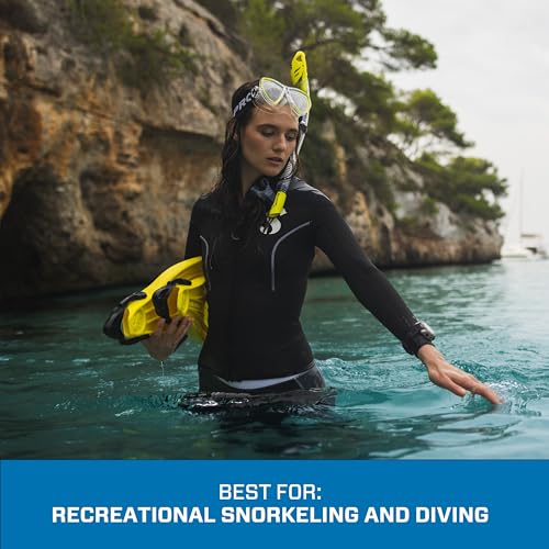 Dry Snorkel with Purge Valve and Quick-Connect Clip - Silver