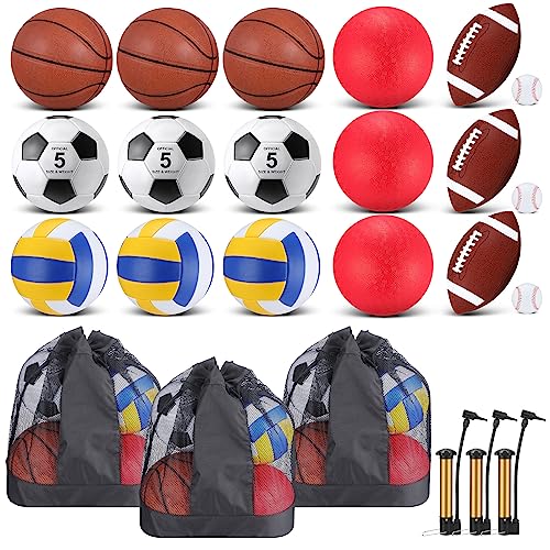 Leyndo 18 Pcs Multi-Sport Balls Set - Brown, Official Size, Carry Bag