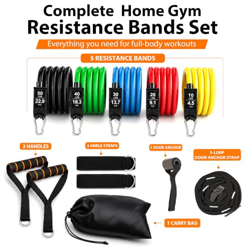Full Body Resistance Bands Set with Handles, Door Anchor & Accessories for Home Workout