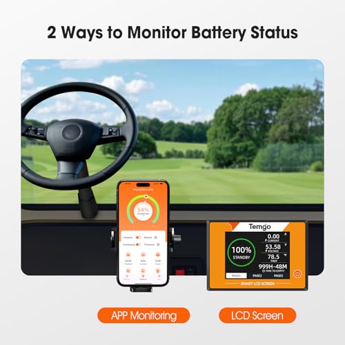 48V 100Ah LiFePO4 Lithium Golf Cart Battery with Bluetooth BMS & Charger