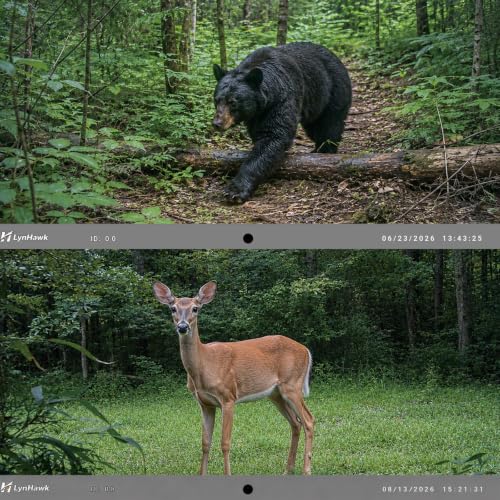 Camouflage 3-Pack Trail Camera with Night Vision & 0.05s Trigger