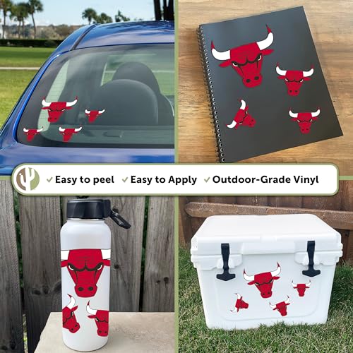 Chicago Bulls Sticker Decal - 8.5x11in Vinyl Sports Fan Sticker Sheet - Desert Cactus