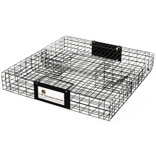 Humane Multi-Catch Squirrel Trap - 1 Pack for Wildlife Control