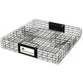 Humane Multi-Catch Squirrel Trap - 1 Pack for Wildlife Control