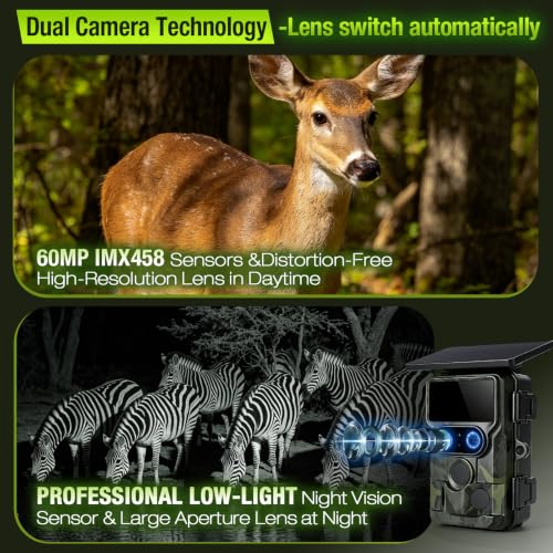 WIMIDING 4K Dual-Lens WiFi Trail Camera with Night Vision & Solar Power