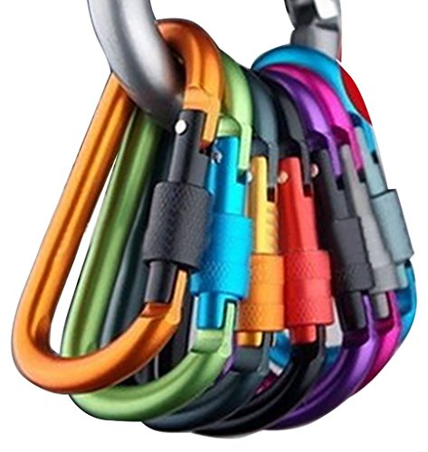 Aluminum Carabiner Keychain Locking D-Ring for Camping Hiking Travel - 10 PCS