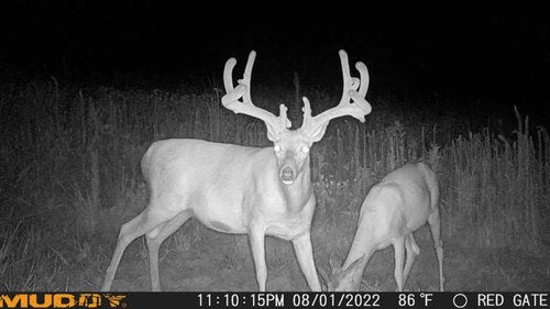 Muddy Mitigator Cellular 24MP Imaging Trail Camera with 80 Feet Detection and Flash Range and 0.7-Second Trigger Speed