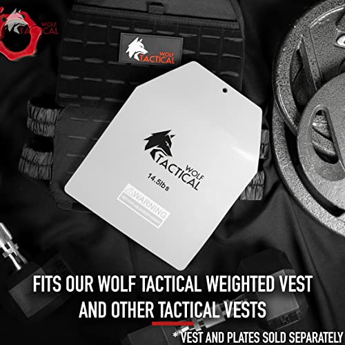 14.5LB Curved Weight Plate Set for Strength Training & Running - Ergonomic Fit