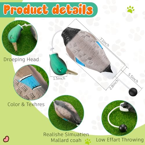 Dog Retriever Training Dummy Set with Mallard Decoy - Orange, Floats Water