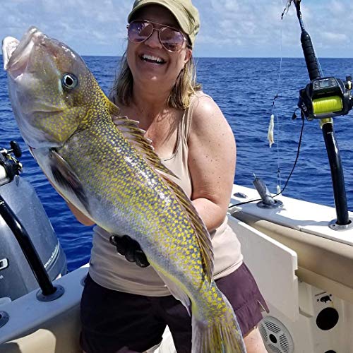 Deep Drop Tilefish Rig Bundle with Lights and Weights for Saltwater Fishing