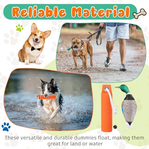 Dog Retriever Training Dummy Set with Mallard Decoy - Orange, Floats Water