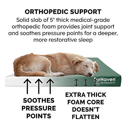 Furhaven Water-Resistant Orthopedic Dog Bed Jumbo Plus Forest Logo Print, Large 53x40 Inches