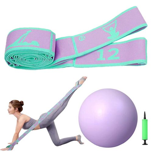 JZQJZQ Home Pilates Kit - 12-Segment Resistance Bands + Small Pilates Ball + Random Color Air Pump | Multi-Functional Exercise Bands Resistance an Excellent Yoga Pilates Equipment (Purple)