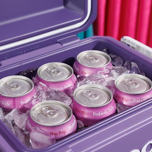 Igloo Tag Along Too Coolers Insulated Hard Shell Picnic Cooler with Dusted Grape Variation