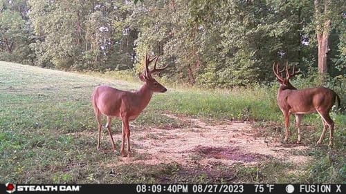Stealth Cam Fusion X-Pro Wireless Trail Camera with Dual SIM 36MP 720P HD Video