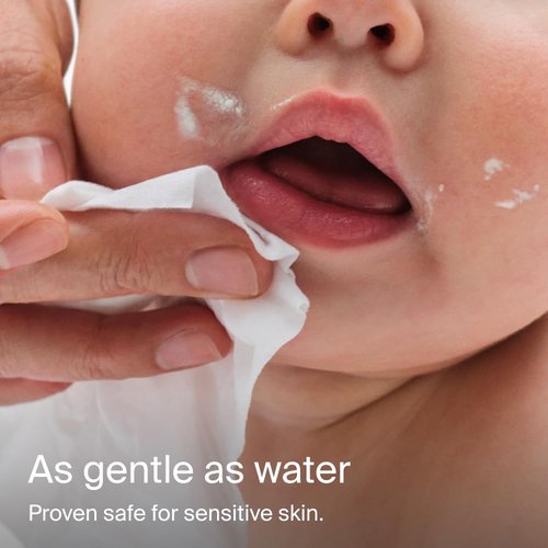 Coterie Baby Wipes - Unscented, Hypoallergenic, 99% Purified Water | 8 Pack, 448 Count, Plastic-Free