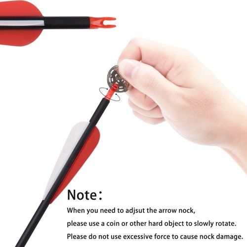 Carbon Arrow Hunting Arrows - 100 Grain Removable Tips for Compound, Recurve & Traditional Bows | Pack of 12