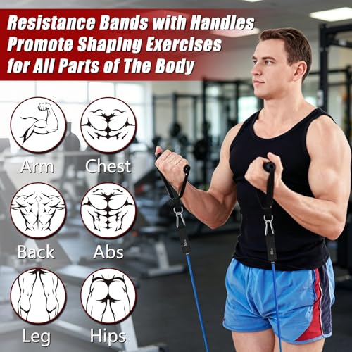 5-Level Resistance Bands with Handles for Full-Body Workout, Portable Fitness Set