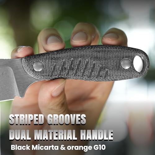 Kizer Hare Fixed Blade Knife with Sheath - Black & Orange, 3.14" Nitro V Steel